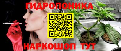 ПСИЛОЦИБИНОВЫЕ ГРИБЫ Кунгур