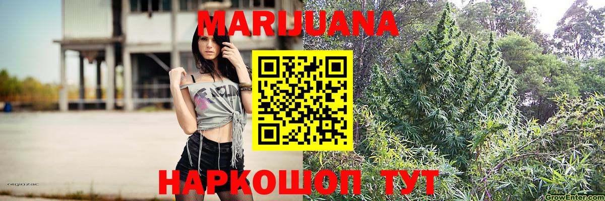 Конопля Bruce Banner  Канабис план  Ирбит  Конопля марихуана  Вход с VPN  Шишки марихуана марихуана 